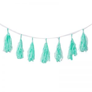 FS Tassel Garland Mint 3m 12pk