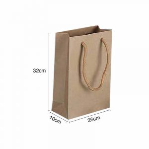 Brown Kraft Paper Gift Bags (M)