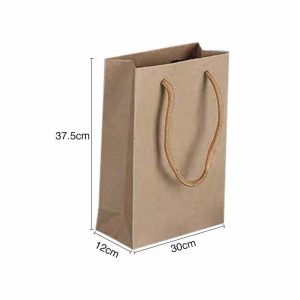 Brown Kraft Paper Gift Bags (L)