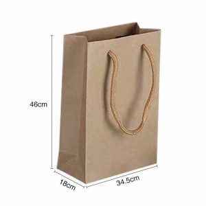 Brown Kraft Paper Gift Bag XL
