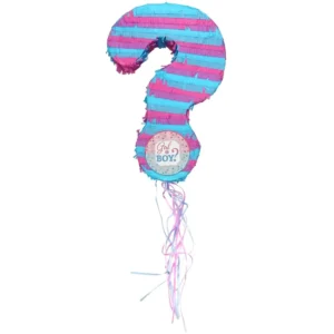 Girl or Boy Gender Reveal Pull String Pinata