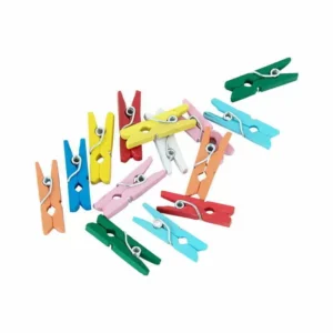 Mini Multi Coloured Wooden Pegs (Pack of 24)